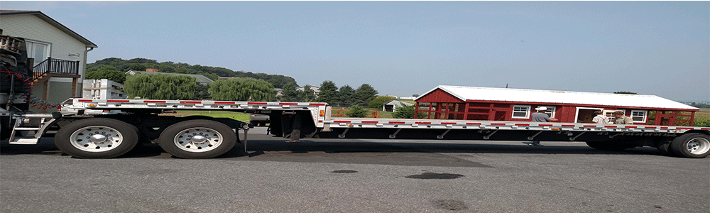 largeccshipping