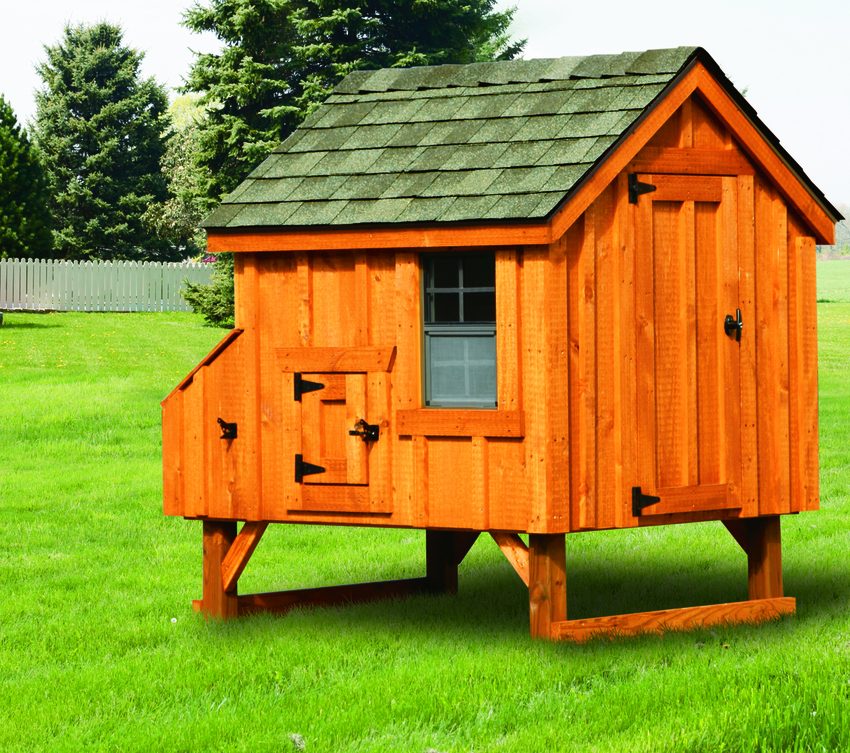 Chicken Coops for Sale | Large Walk in Space | Hen House